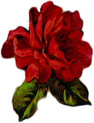 187x243 Free Vintage Digital Stamps Free Vintage Images