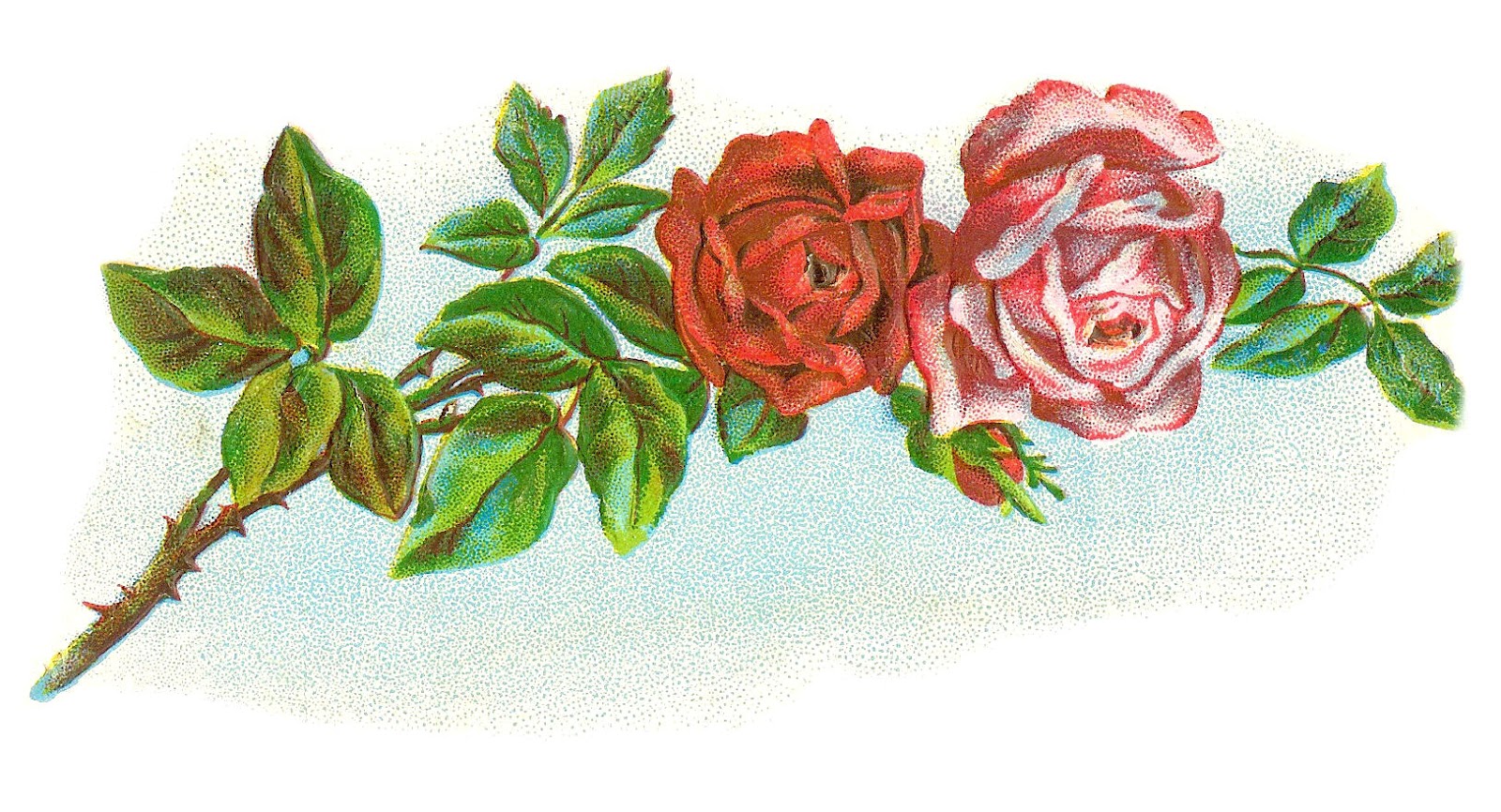 1600x866 Free Vintage Rose Clip Art