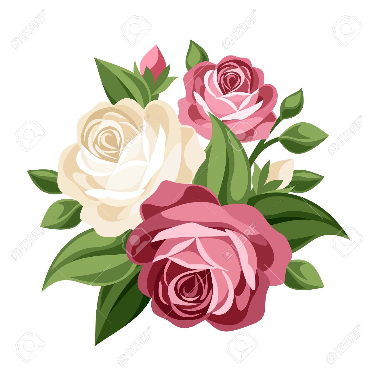 1300x1300 Pink And White Vintage Roses Vector Illustration Royalty Free