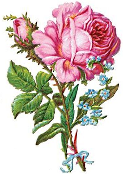 399x565 1475 Best Imagens