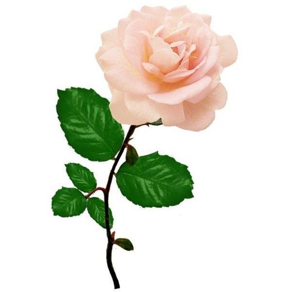 600x600 92 Best Clipart Images Scenery, Clip Art And Draw