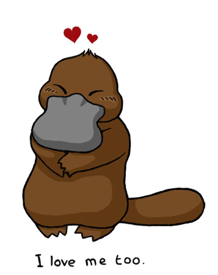 715x900 Images About Platypus On Baby Toys Videos Of Clip Art