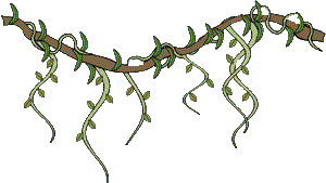300x169 Jungle Vine Border Clipart