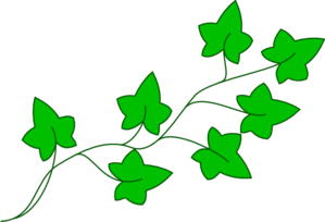 299x204 Ivy Vine Clip Art