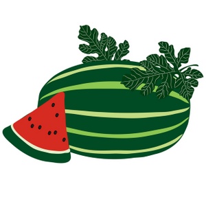 300x300 Watermelon Slice Clipart Image