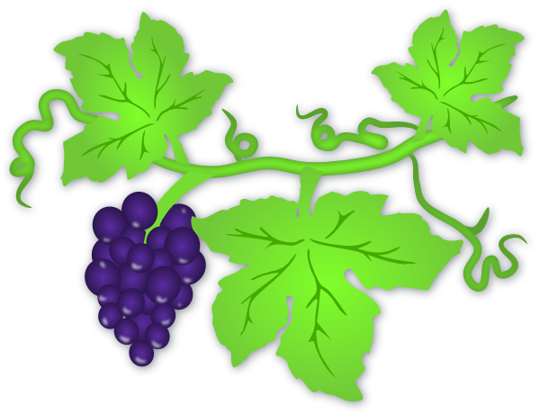 600x460 Free Grapes Clipart Image