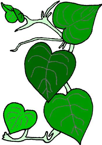 350x496 Green Vines Clip Art Clipart Panda
