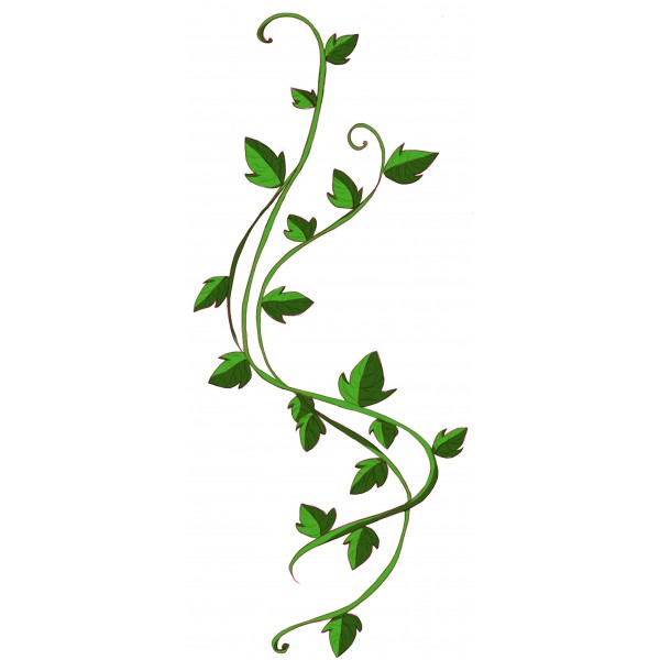 600x600 Ivy Leaf Vine Clipart