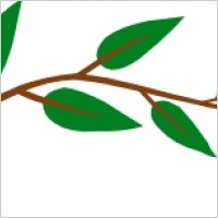 200x200 Leaf Vine Clipart