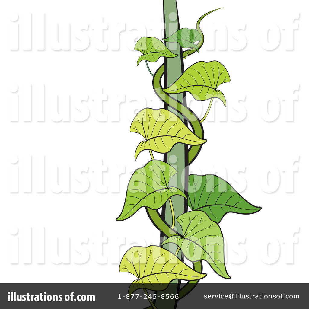 1024x1024 Vine Clipart