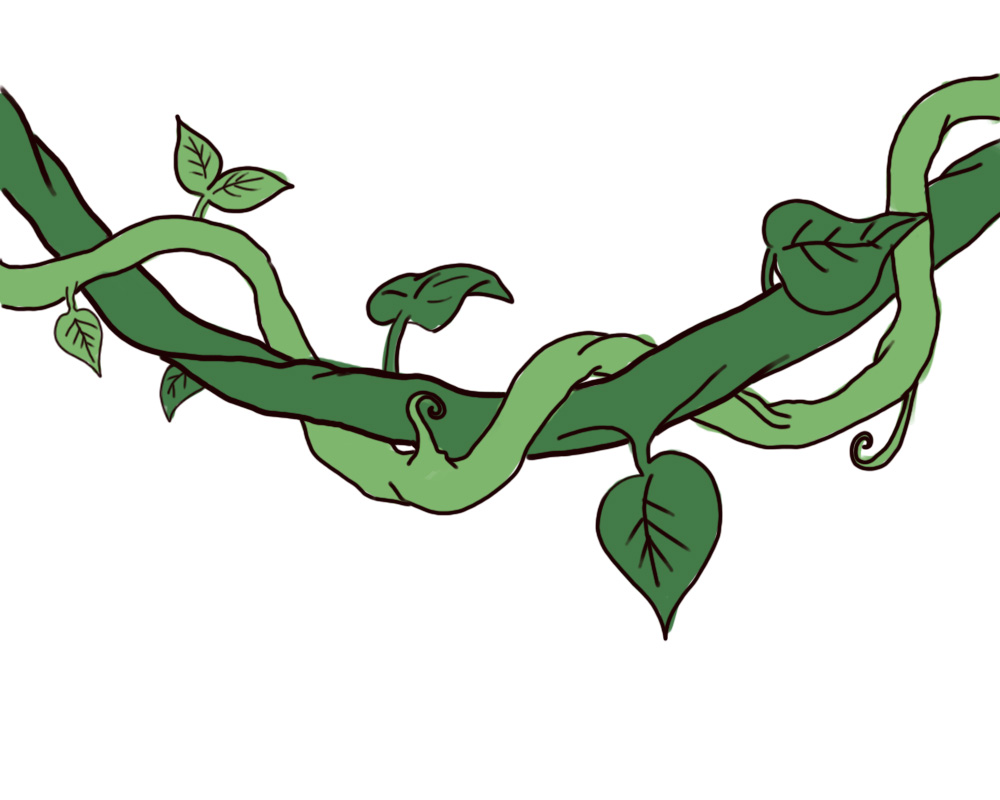 1000x800 Vine Clipart Tree Vine