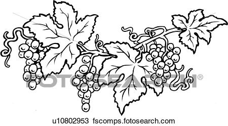 450x249 Clipart Of Grape, Grapes, Vine, Grapevine, Fruit, Lineart