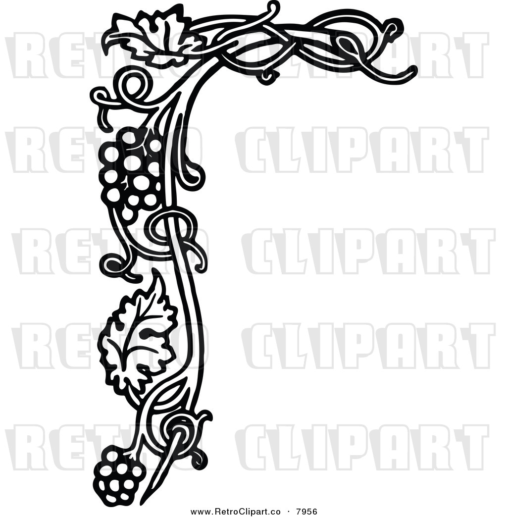 1024x1044 Vine Clipart Vintage