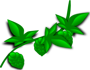 300x234 Vine Clipart Vegetation