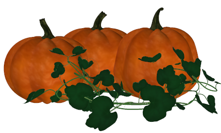 455x274 Pumpkin Clipart Pumpkin Vine