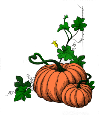 330x385 Graphics For Pumpkin Vine Graphics