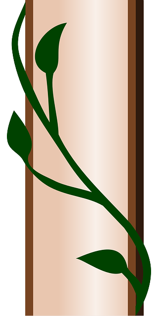 320x640 Free Pictures Climbing Plant