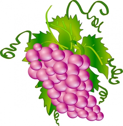 416x425 Grapes Vine Clipart Free Images 3