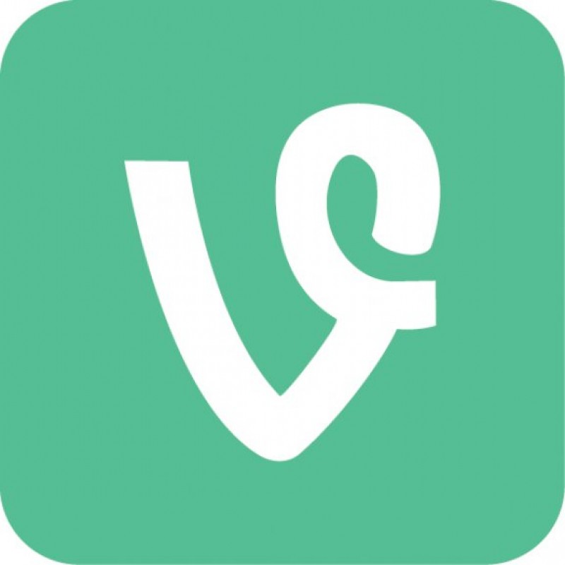800x800 Instagram V Vine The Battle Of The Video Sharing Platforms Sookio