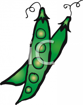 276x350 Pea Vine Clipart