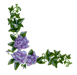 250x242 Rose Vine Clipart