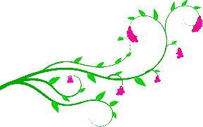 288x180 Vine Arrow Cliparts 271562