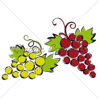 325x325 Grapes And Vine Leaves, Vector Gl Stock Images