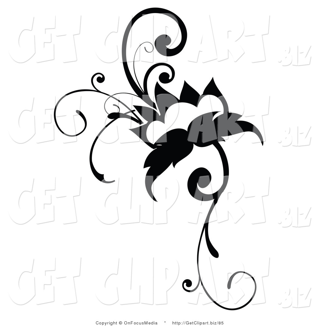 1024x1044 Free Vine Black And White Clipart