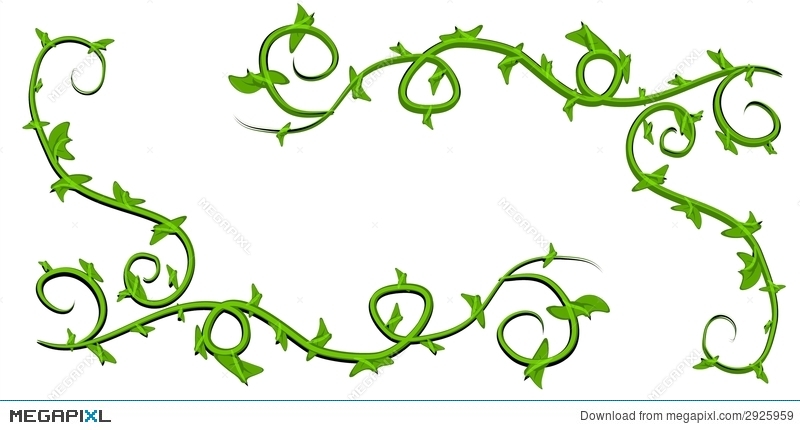 800x430 Green Leafy Vines Clip Art Illustration 2925959