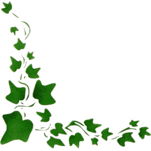 300x300 Jungle Vine Border Clipart