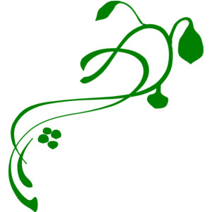 300x300 The Vine Clipart Image