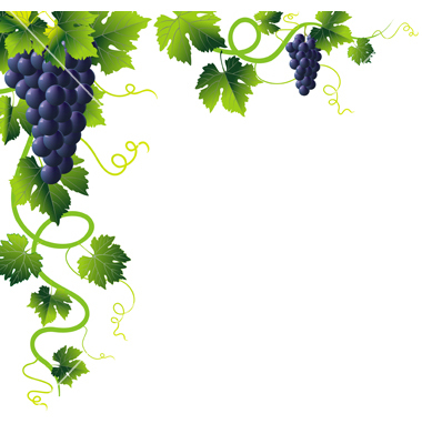 380x400 Berry Vines Clipart