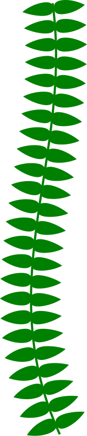 181x900 Vine Clipart Long