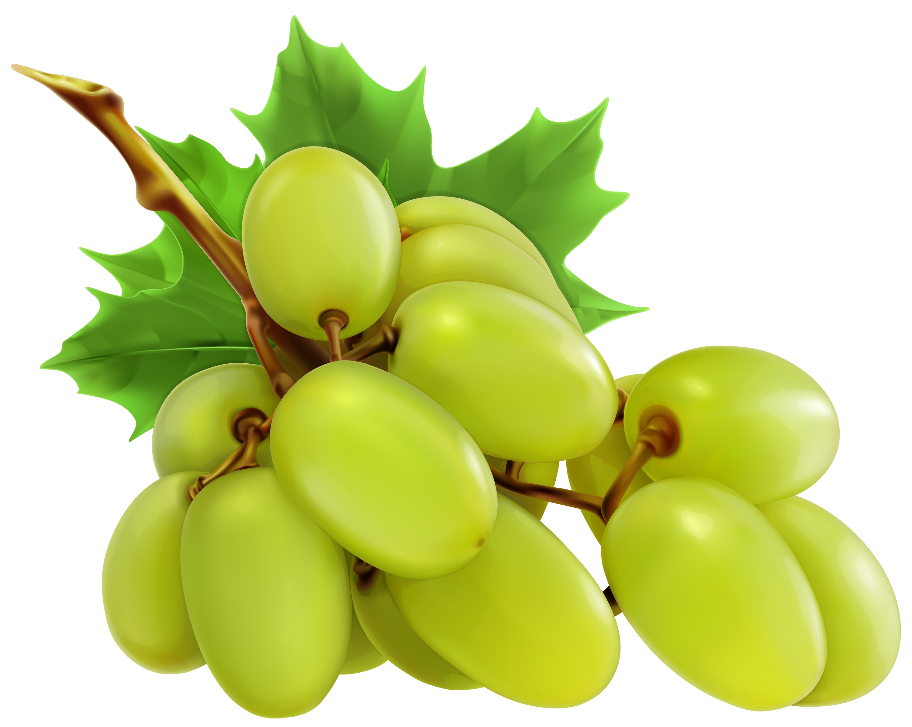 3000x2393 Grapes Clipart