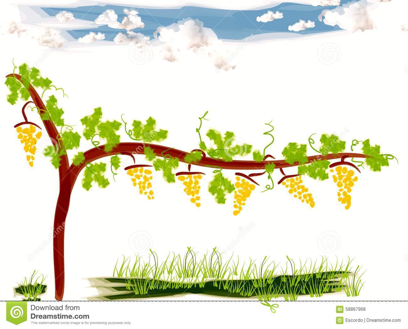 1300x1049 Vineyard Clipart