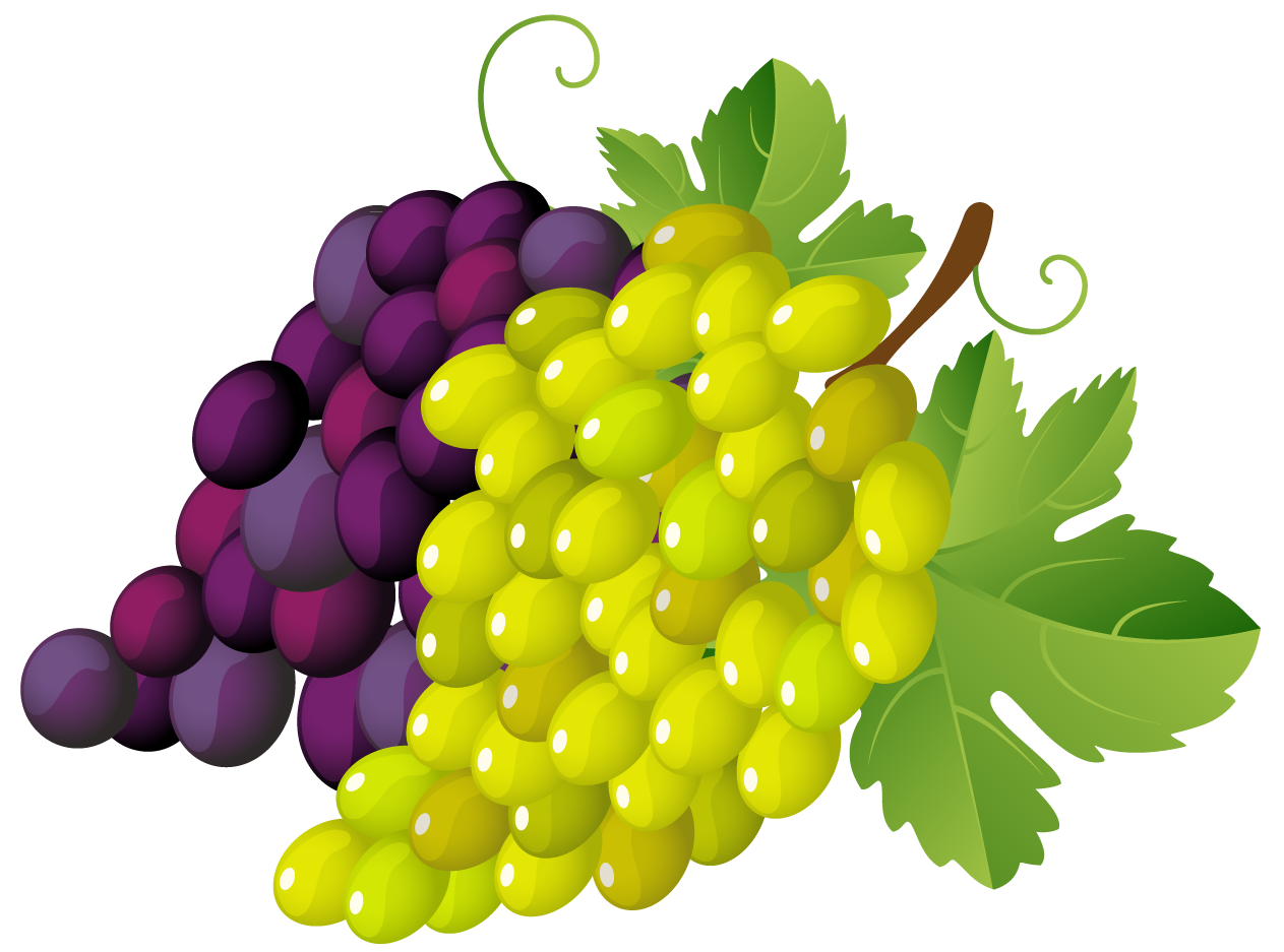 1263x937 Grapes Clip Art