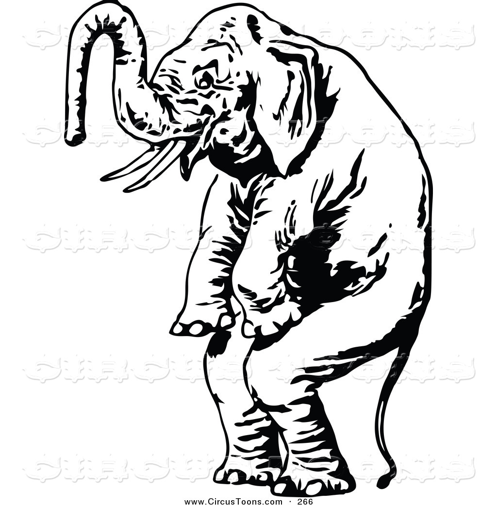 1024x1044 Elephant Clipart Vintage