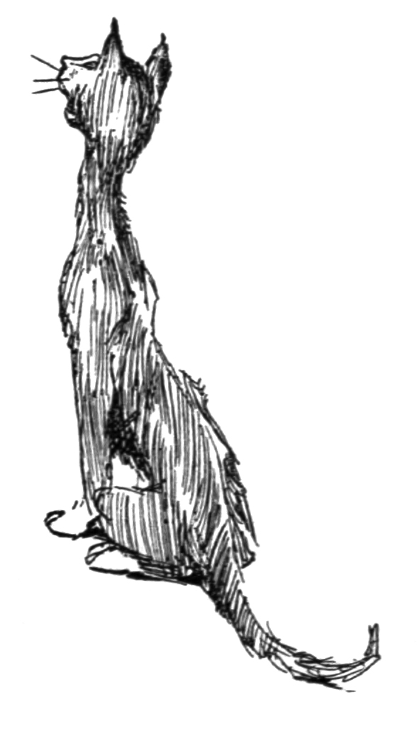 588x1032 Animals Archives