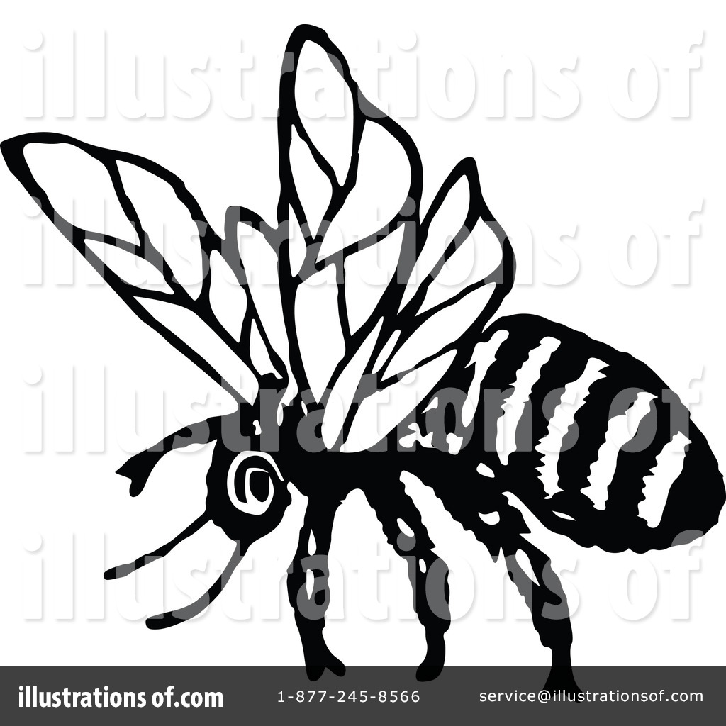 1024x1024 Vintage Bee Clipart