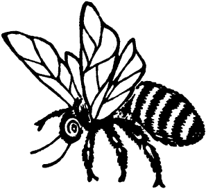 297x273 Vintage Beehive Clipart Clipart Panda