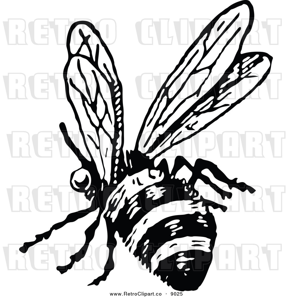 1024x1044 Vintage Honey Bee Clipart