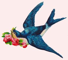 236x208 Bird Clipart Vintage