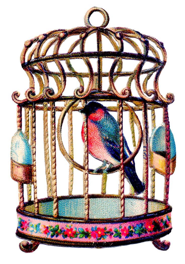 736x1049 Free Victorian Dove Clipart