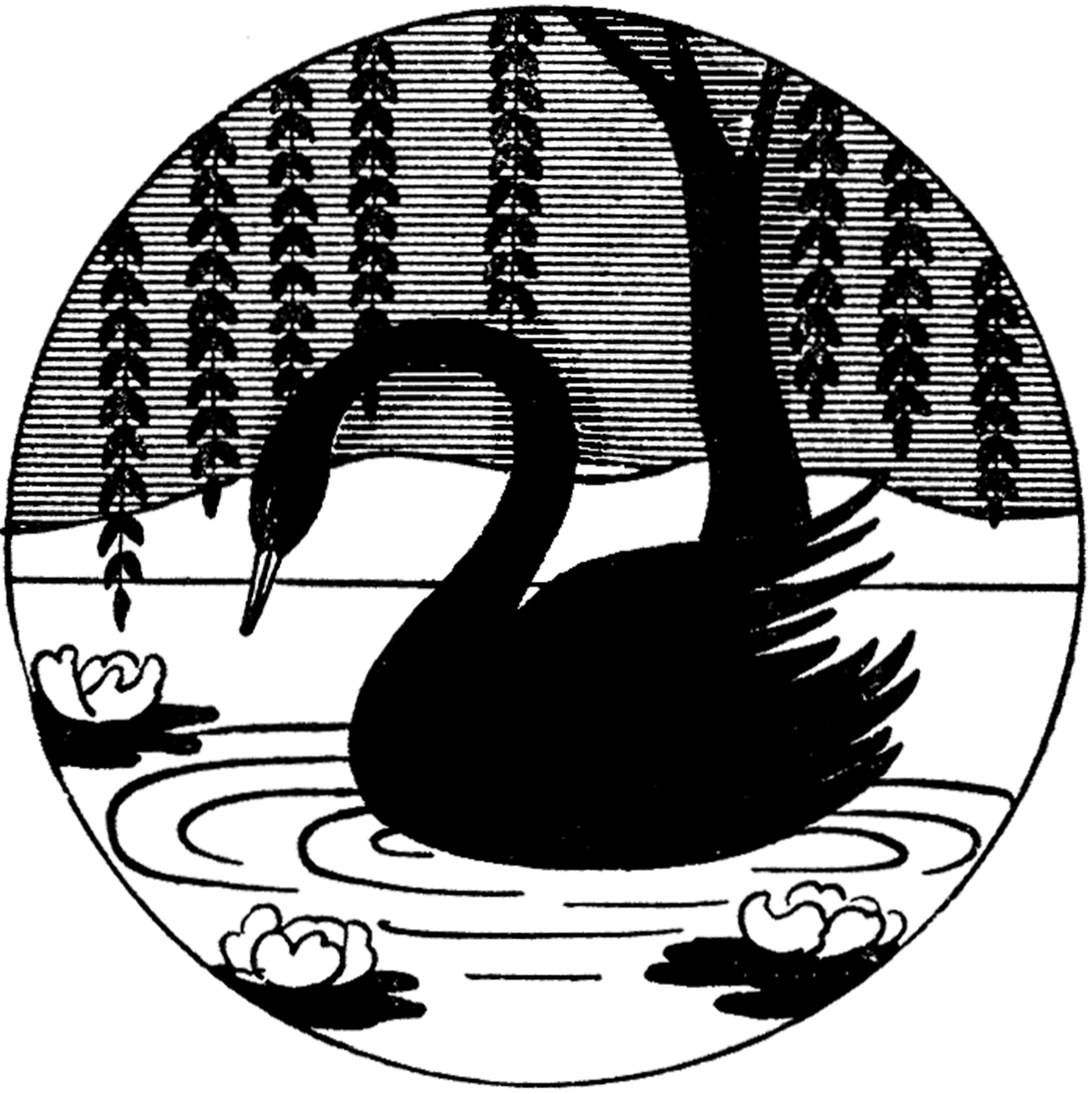 1797x1800 Swan Clipart Vintage