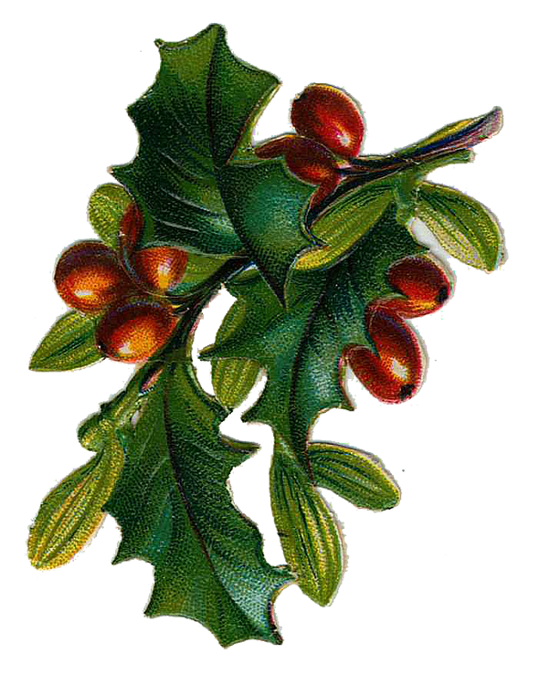 590x750 Vintage Images Archives