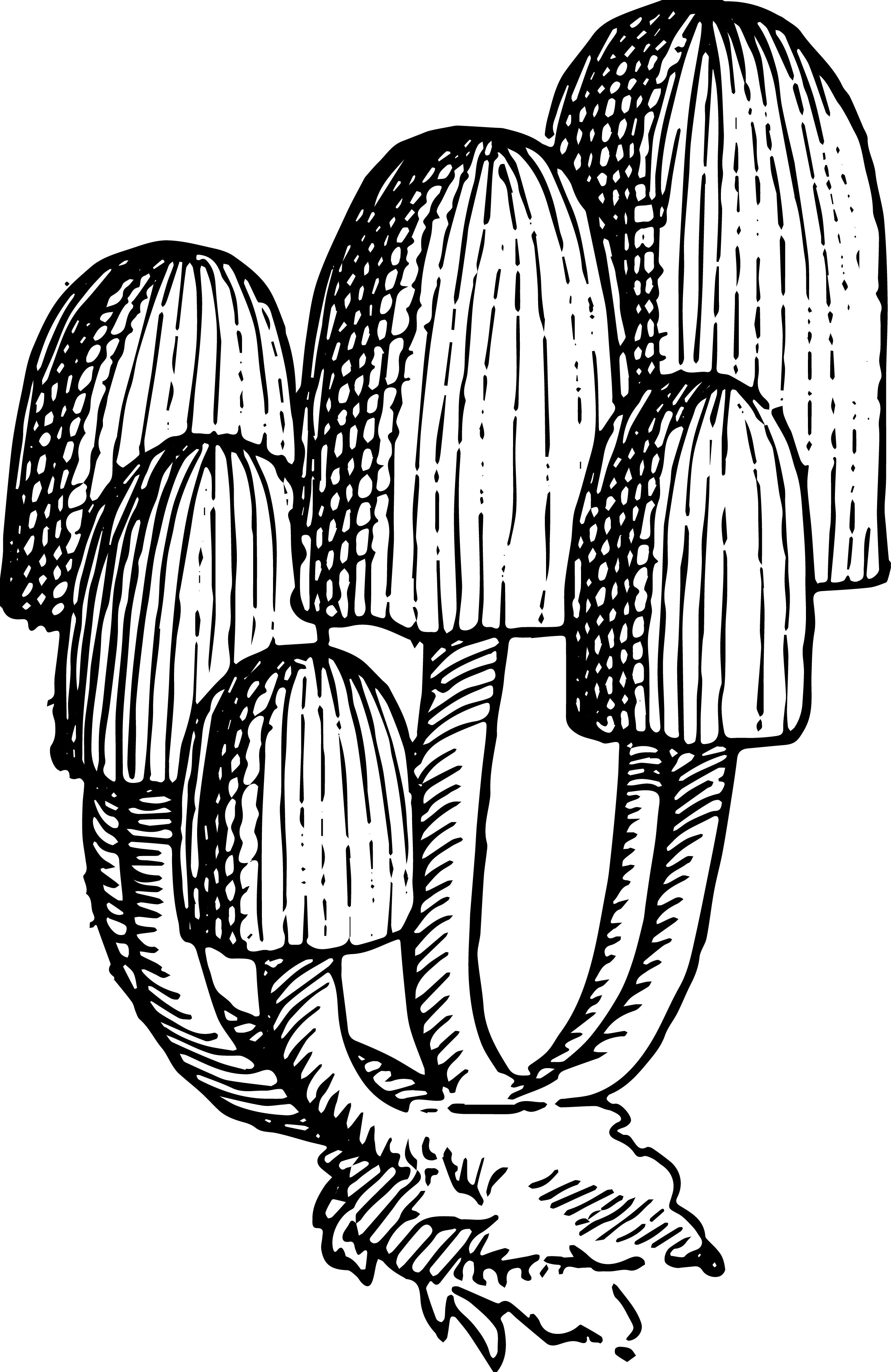 2242x3454 Stock Images