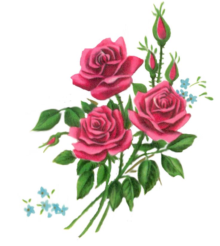 Vintage Rose Clip Art