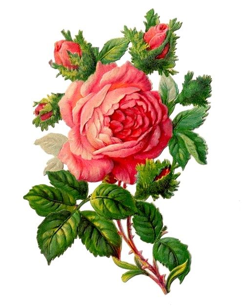 496x628 311 Best Images Vintage Pictures