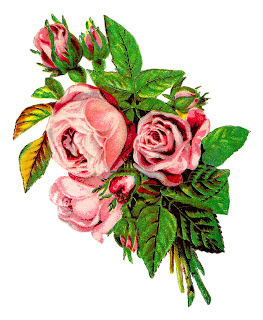 263x320 Antique Images Vintage Shabby Chic Pink Rose Clip Art Image