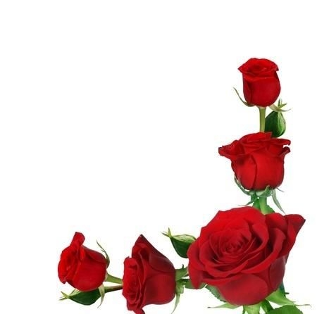 450x446 Corner Rose Clipart
